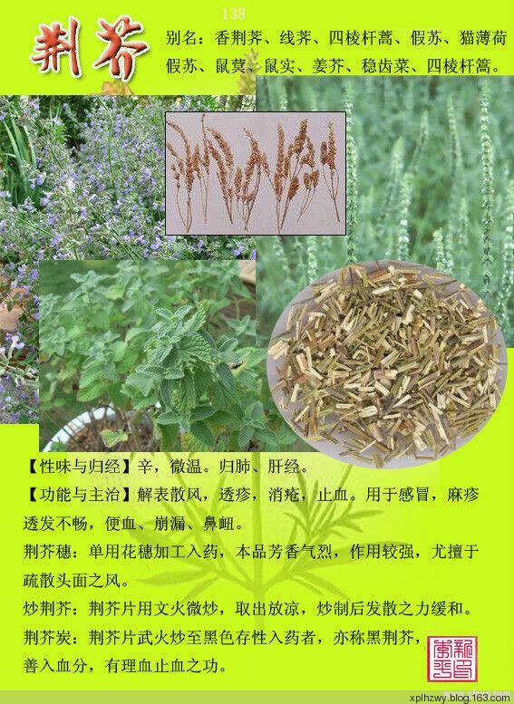 最新草药