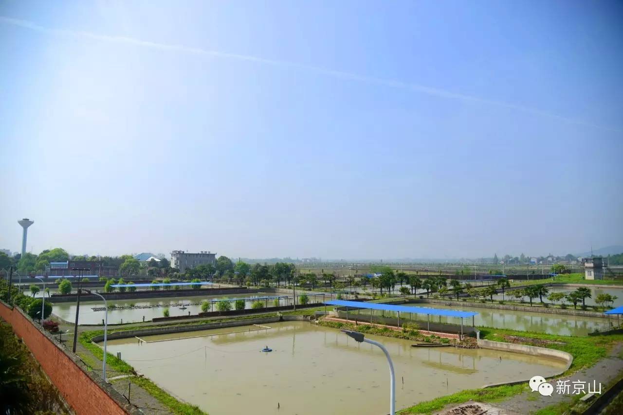 京山最新