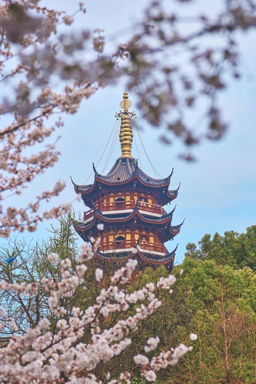 金陵最新