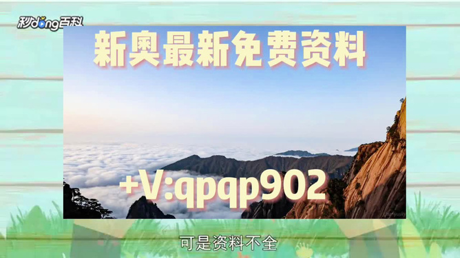 2024-2025年新澳精准资料免费提供|词语释义解释落实