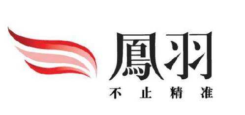 凤凰资料内部资料精准|香港经典解读落实