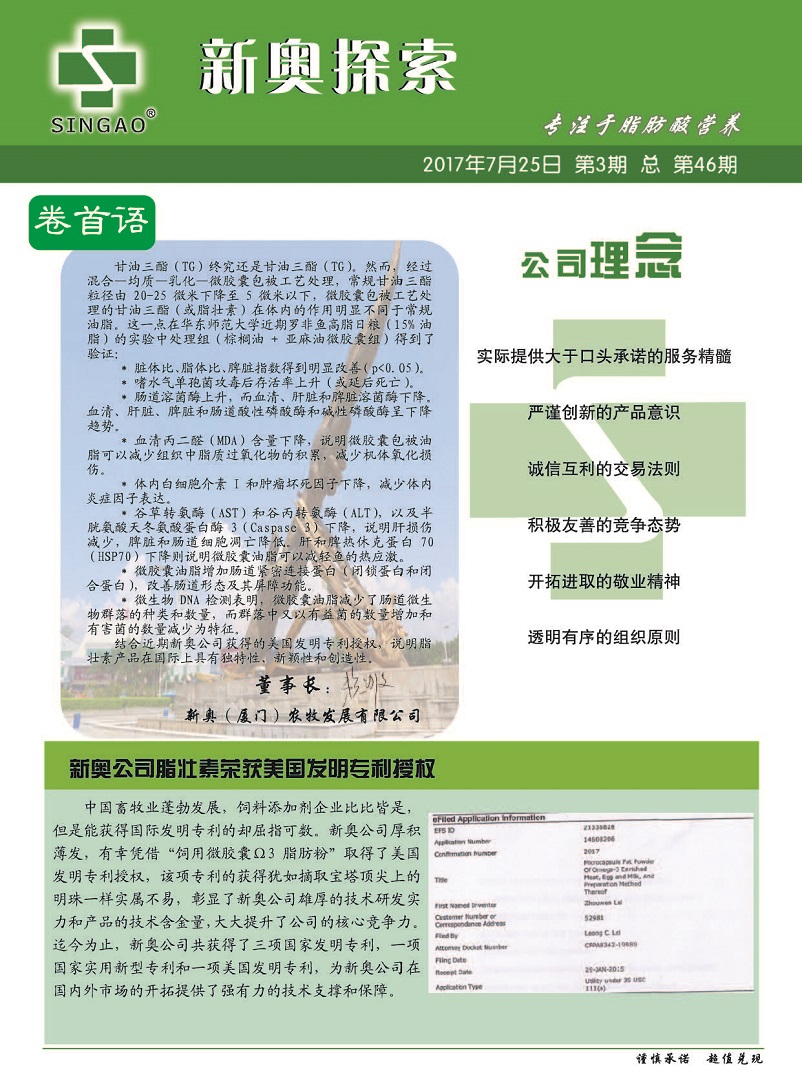 揭秘2024-2025新奥正版资料|精选解释解析落实