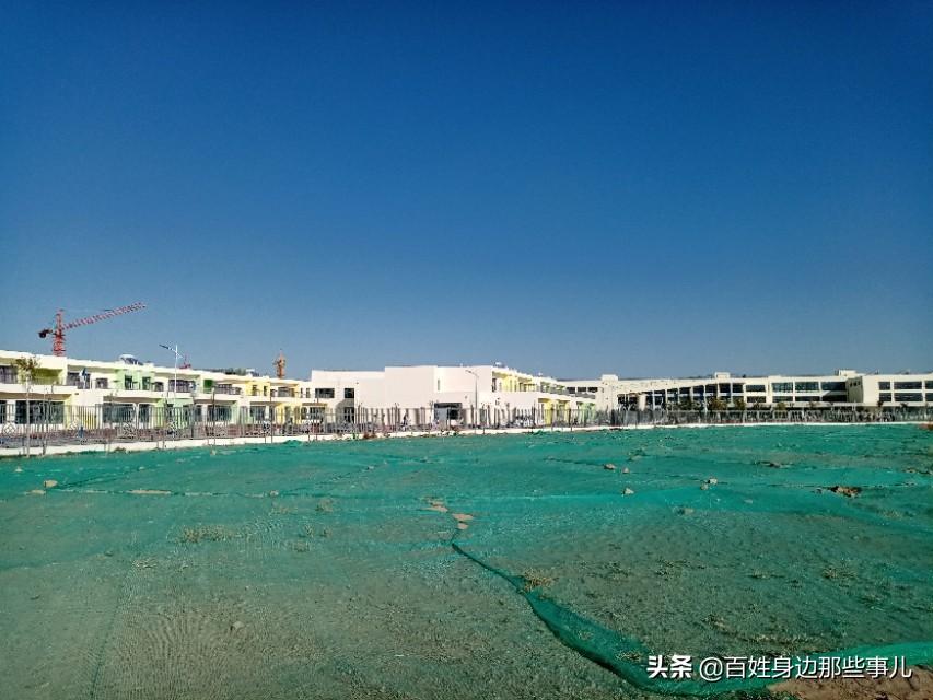 小马最新