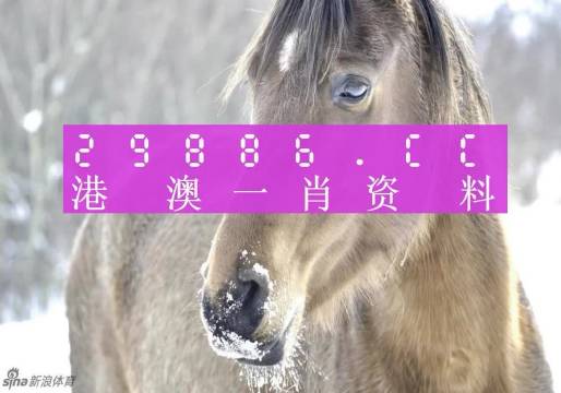 澳门一肖一码100%精准的背景故事|综合研究解释落实
